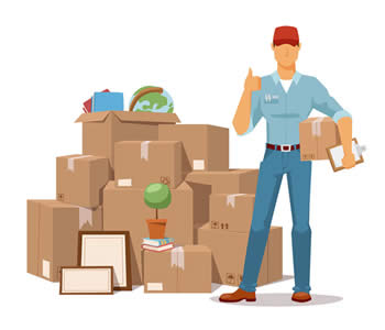 Plover Storage Tips